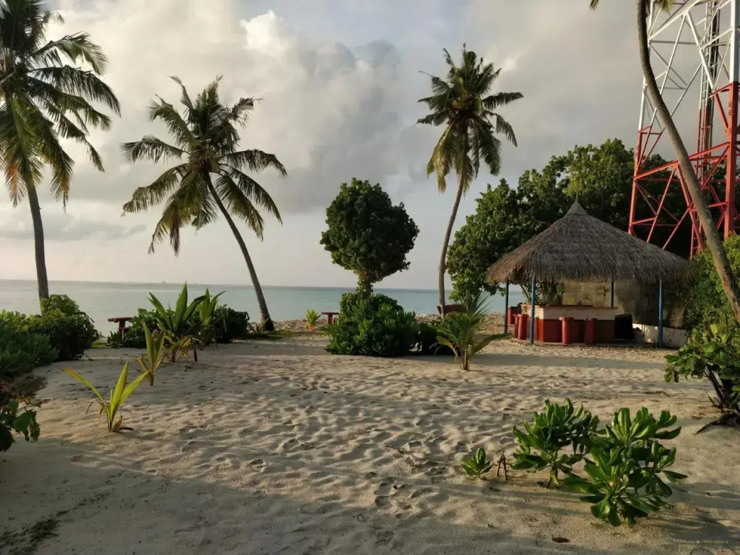 Отель Alkina Lodge