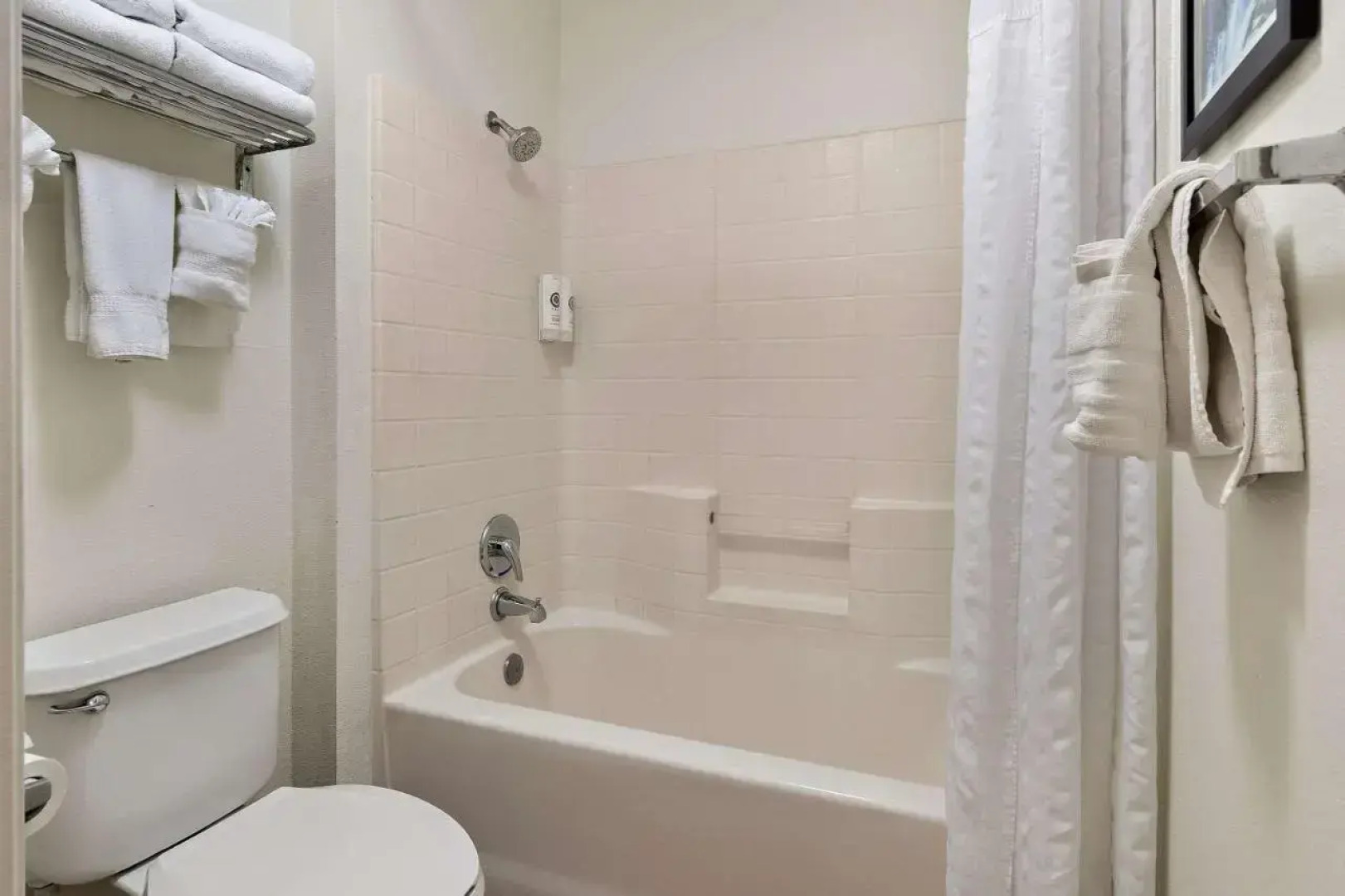 Comfort Inn & Suites Sequoia/Kings Canyon