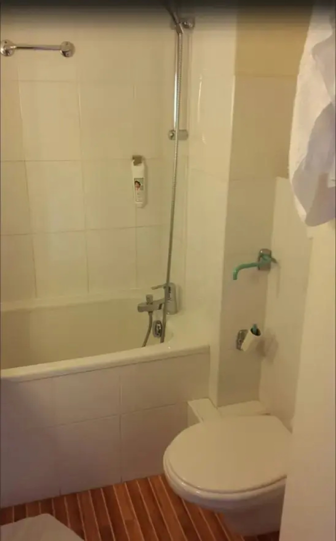 ibis Arles