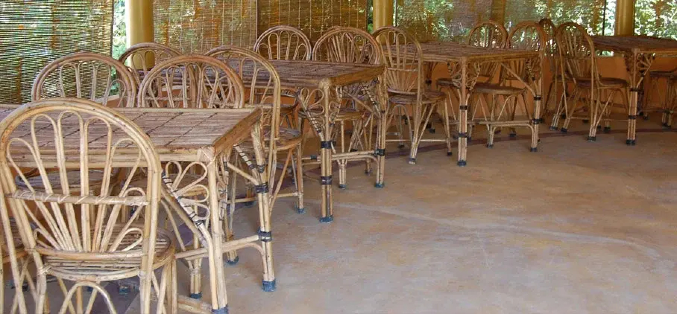 Jungle Paradise Hotel