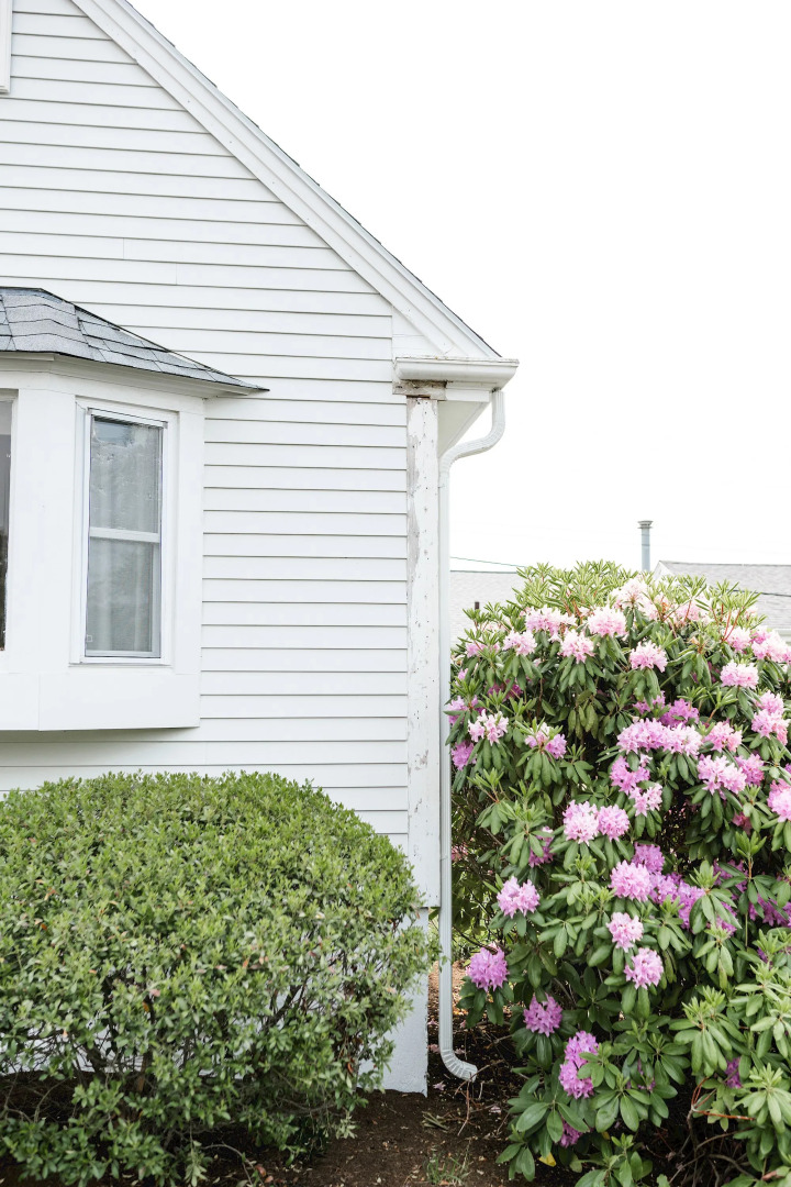 Greyfinch Chatham Inn