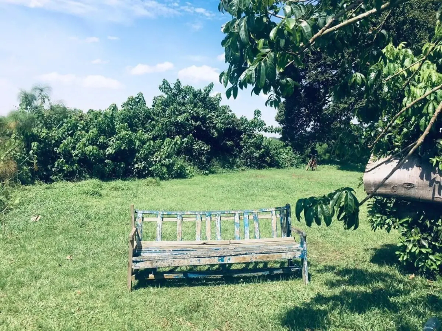 Nabinonya Resort Beach Hotel