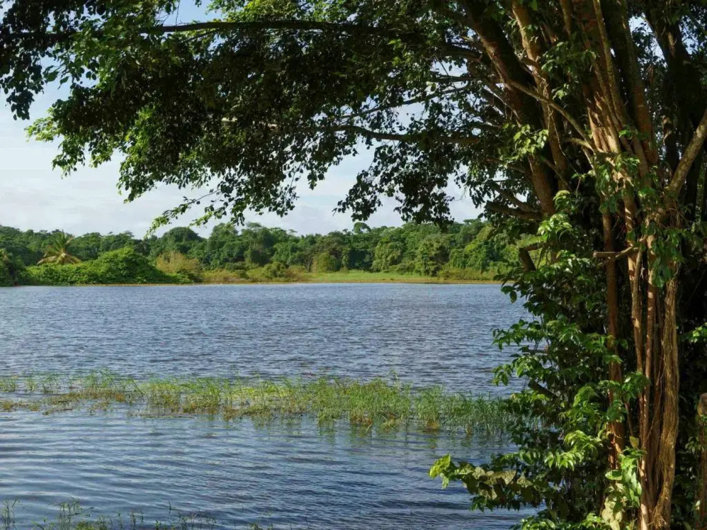 Hotel Mercure Kourou Ariatel