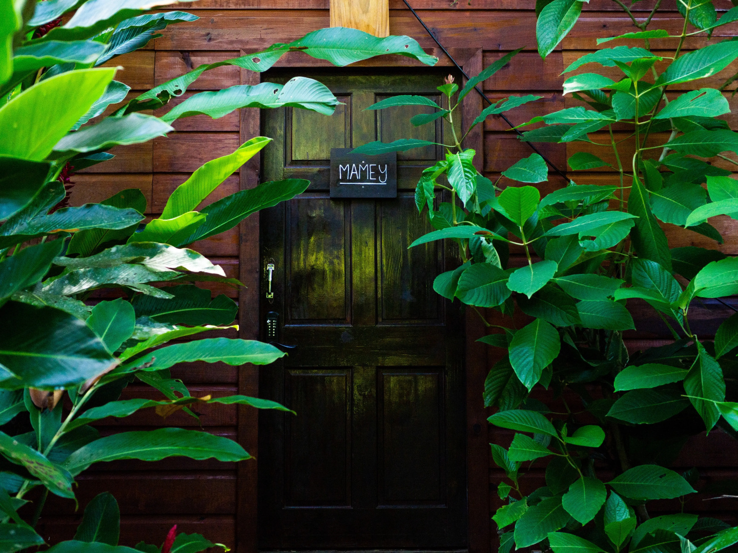 Palmar Beach Lodge