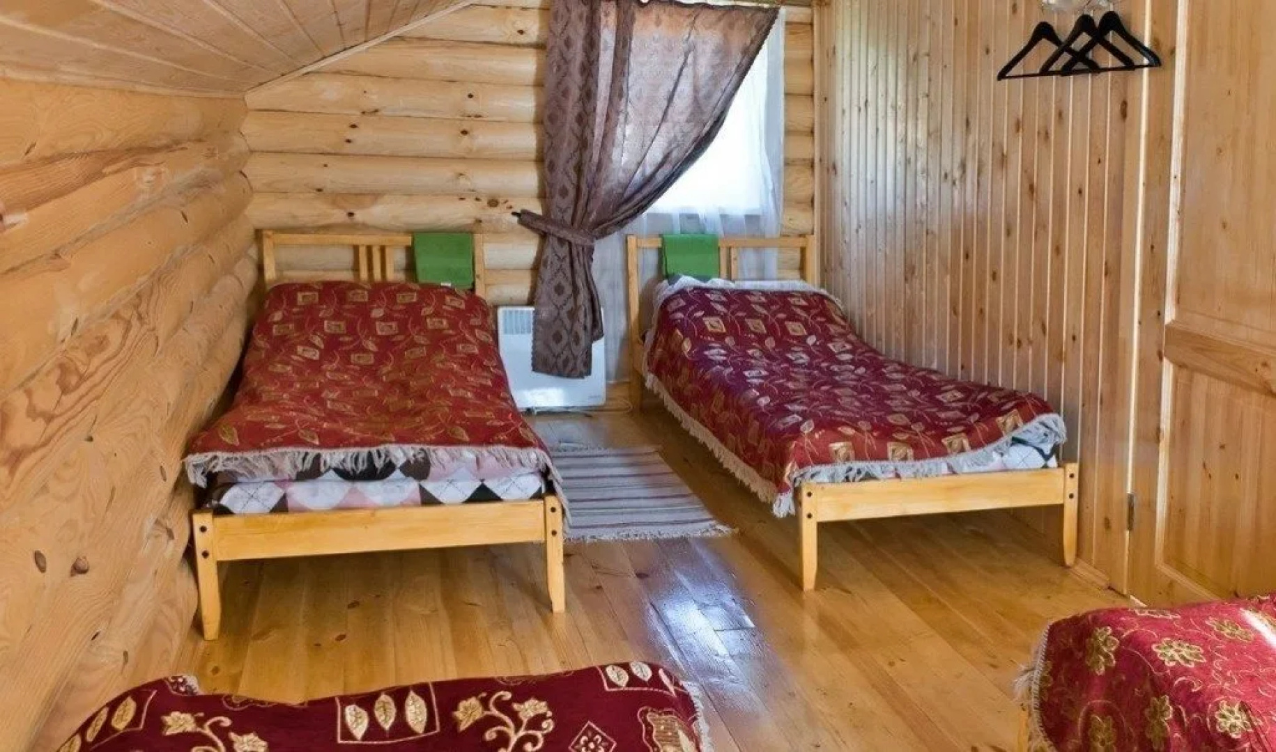 Buryi medved