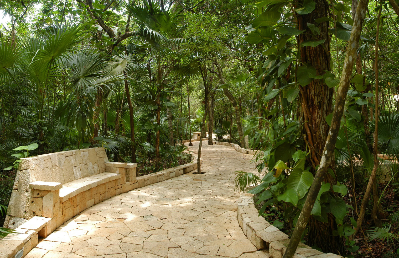 Catalonia Royal Tulum  Adults Only - All Inclusive