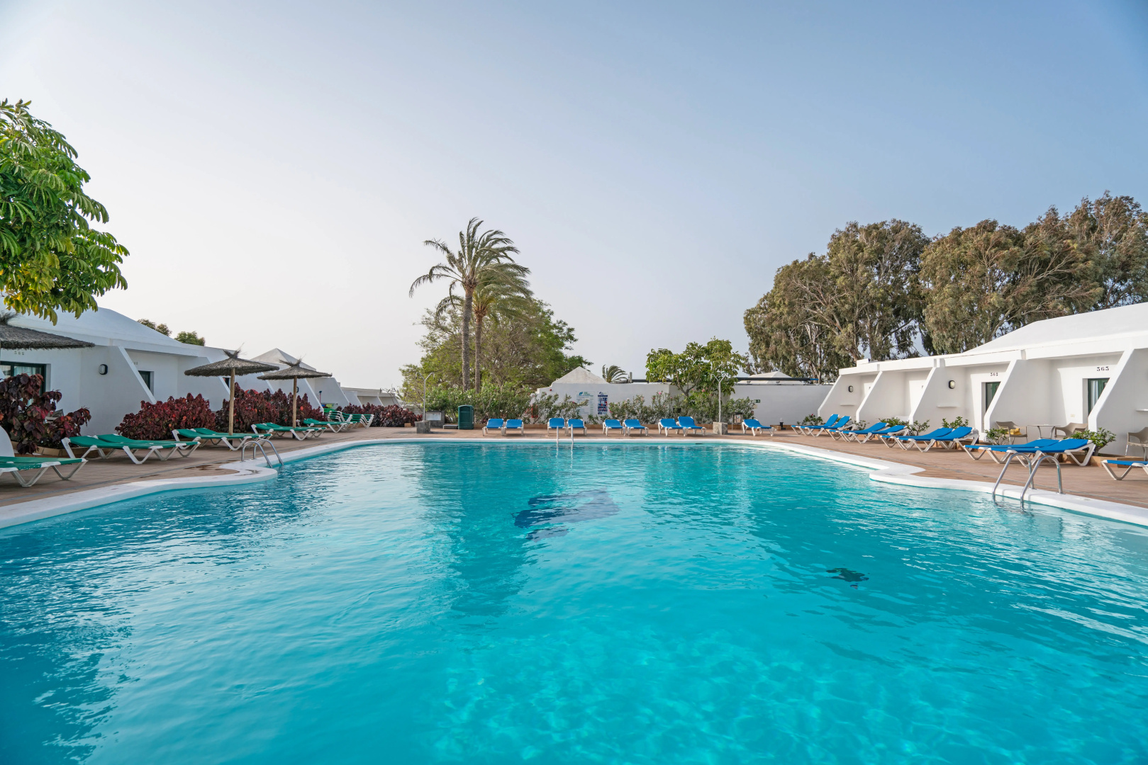 Отель THB Flora Aparthotel