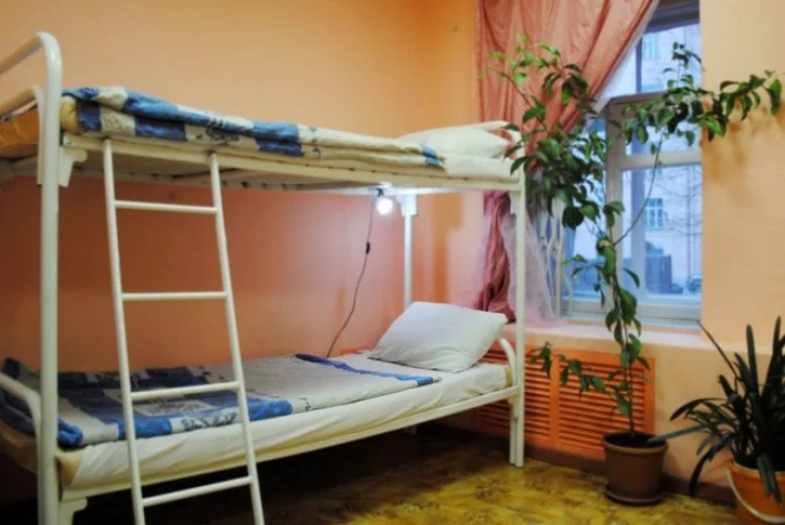 Botanic Hostel