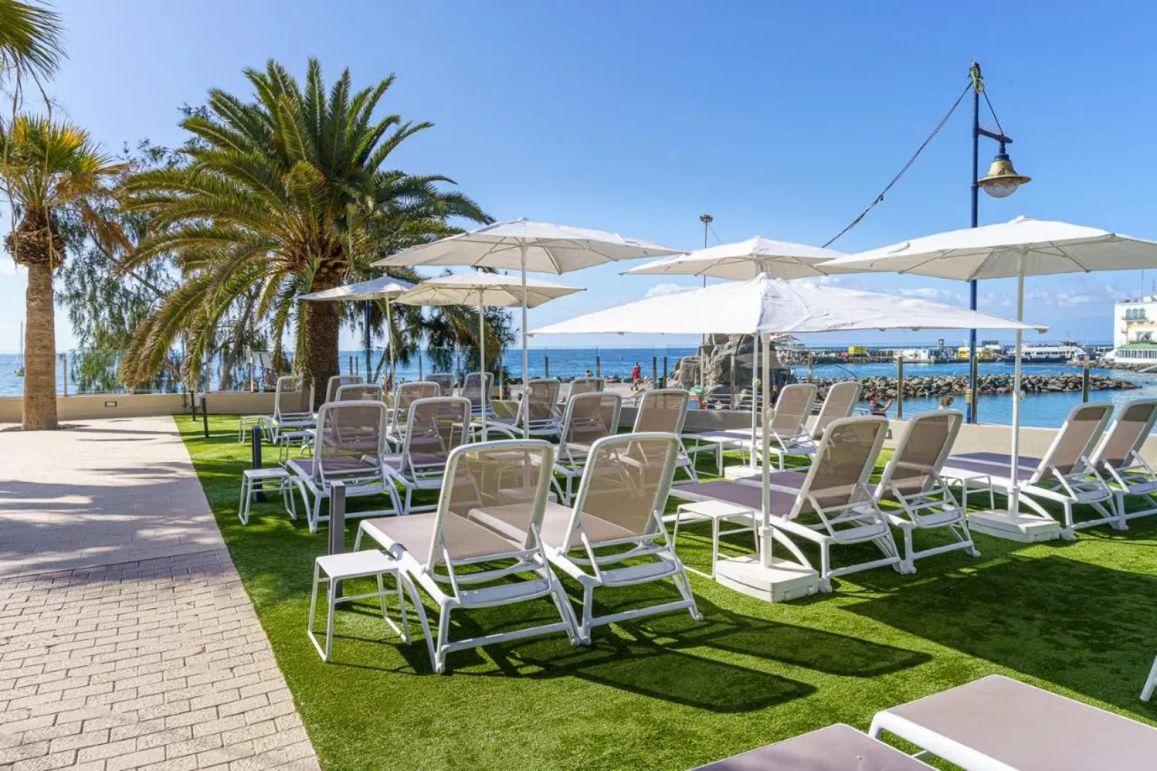 Cordial Muelle Viejo