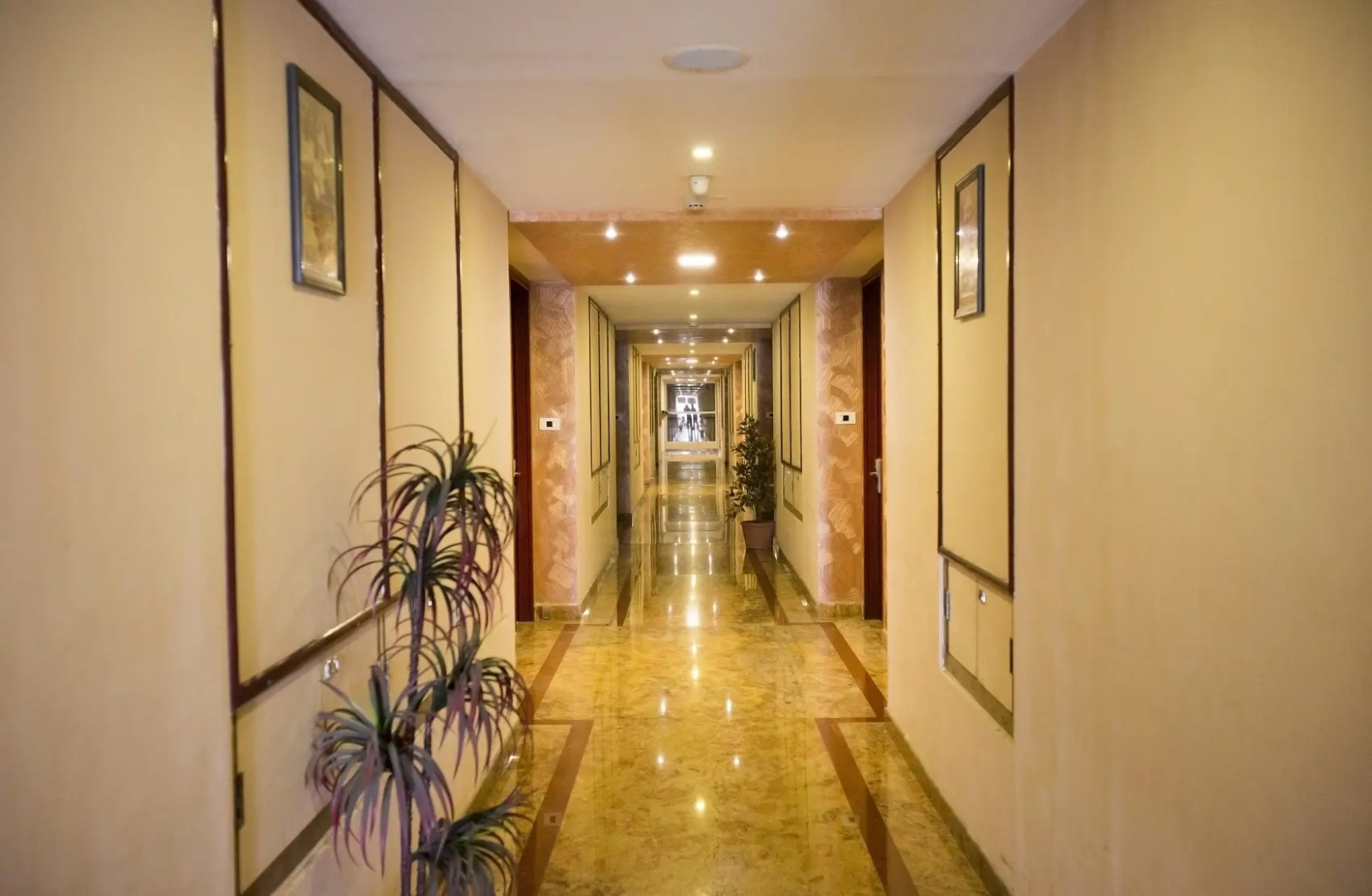 Hotel AMR EVVERGREEN