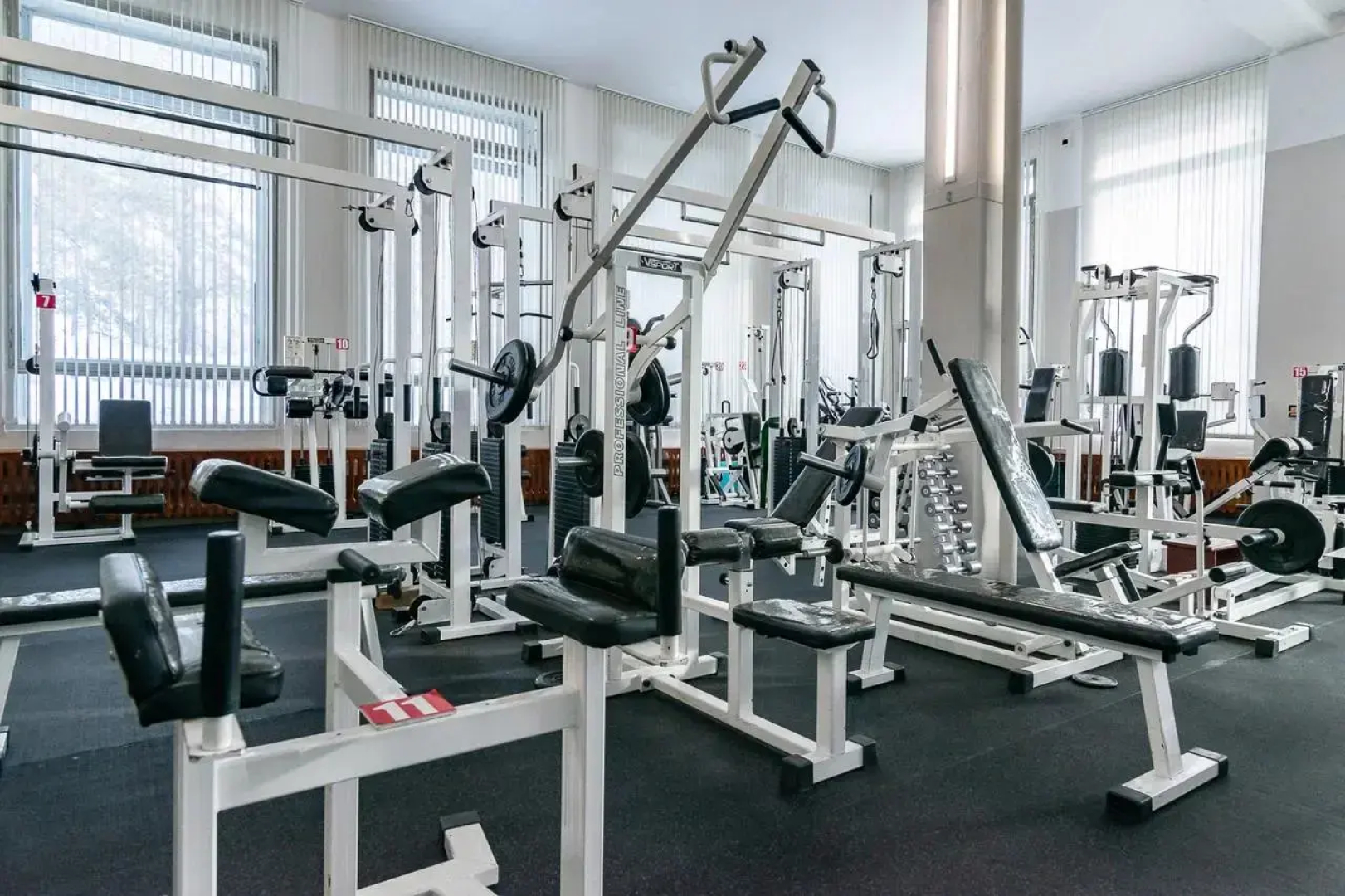 Парус (Бердск)