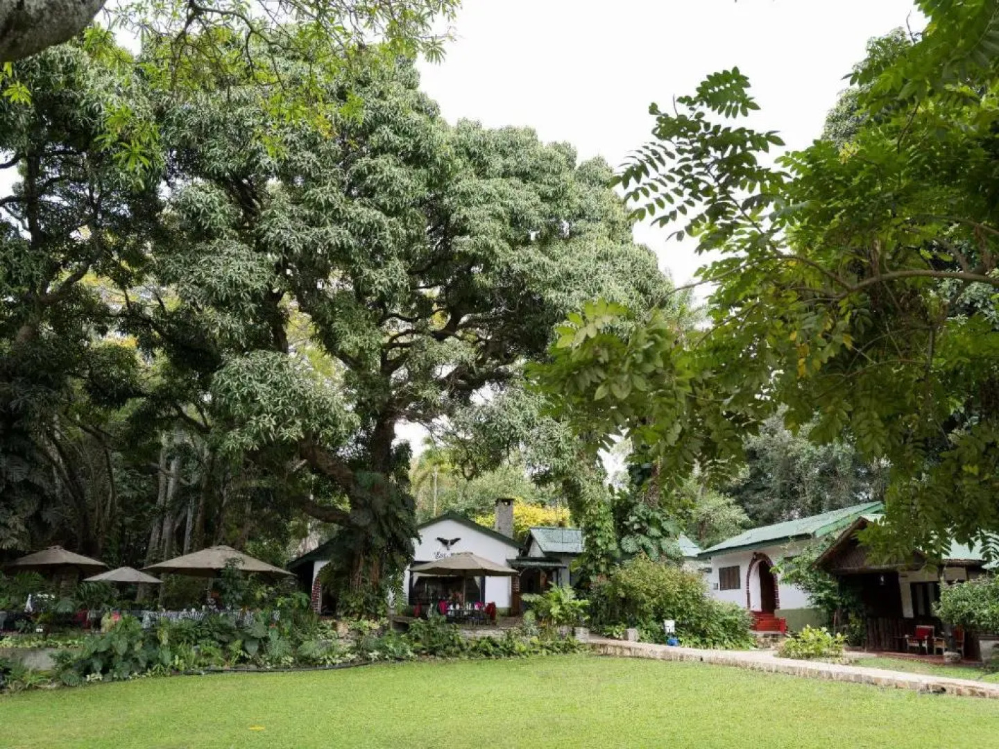 Mount Meru Game Lodge