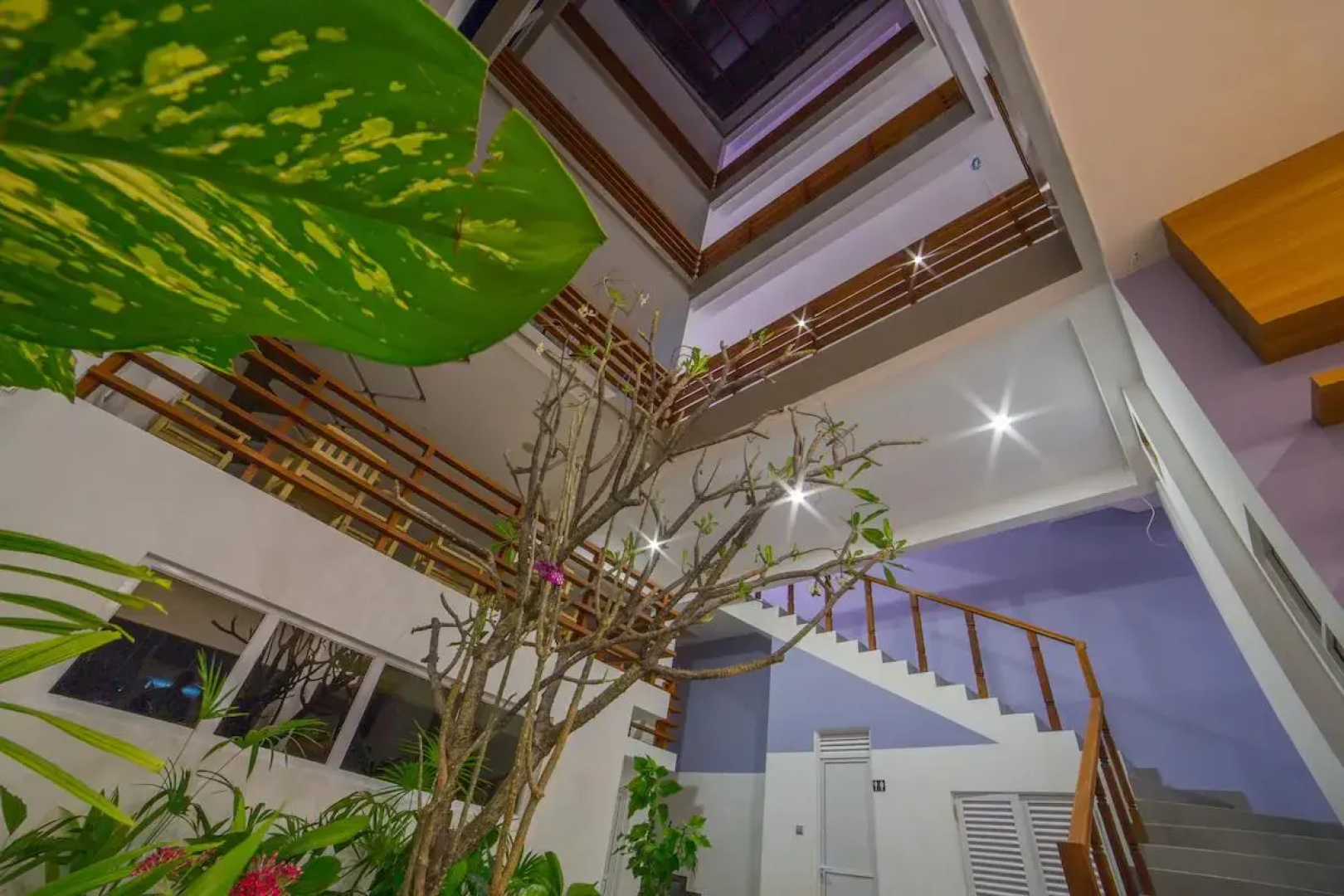 Отель Kuredhi Beach Inn