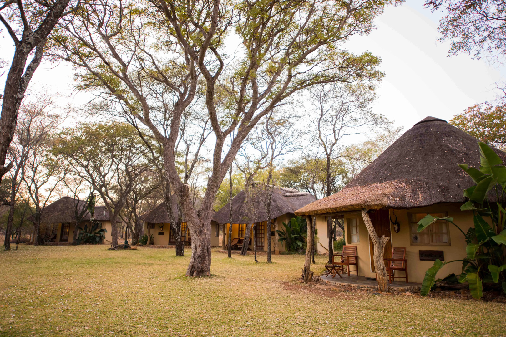 Mziki Safari Lodge