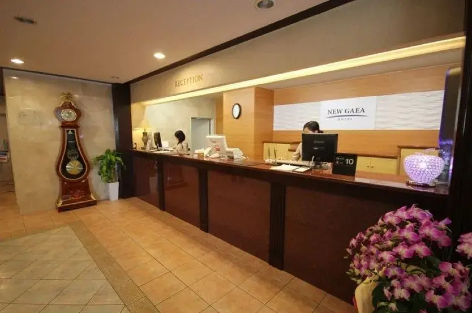 Hotel New Gaea
