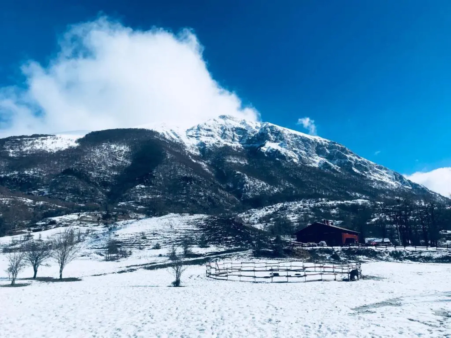 La Fattoria di Morgana