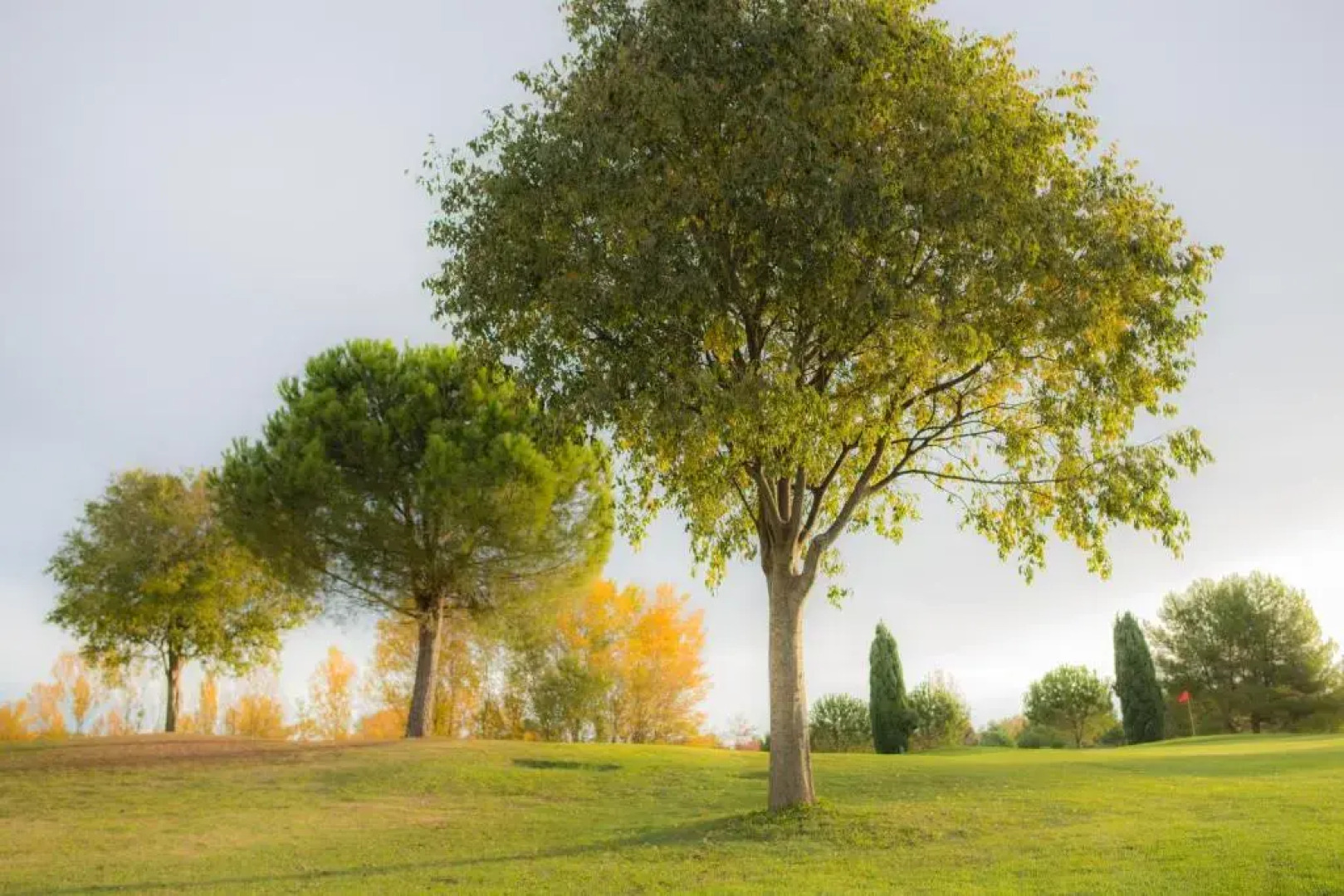 Résidence Les Jardins de Massane