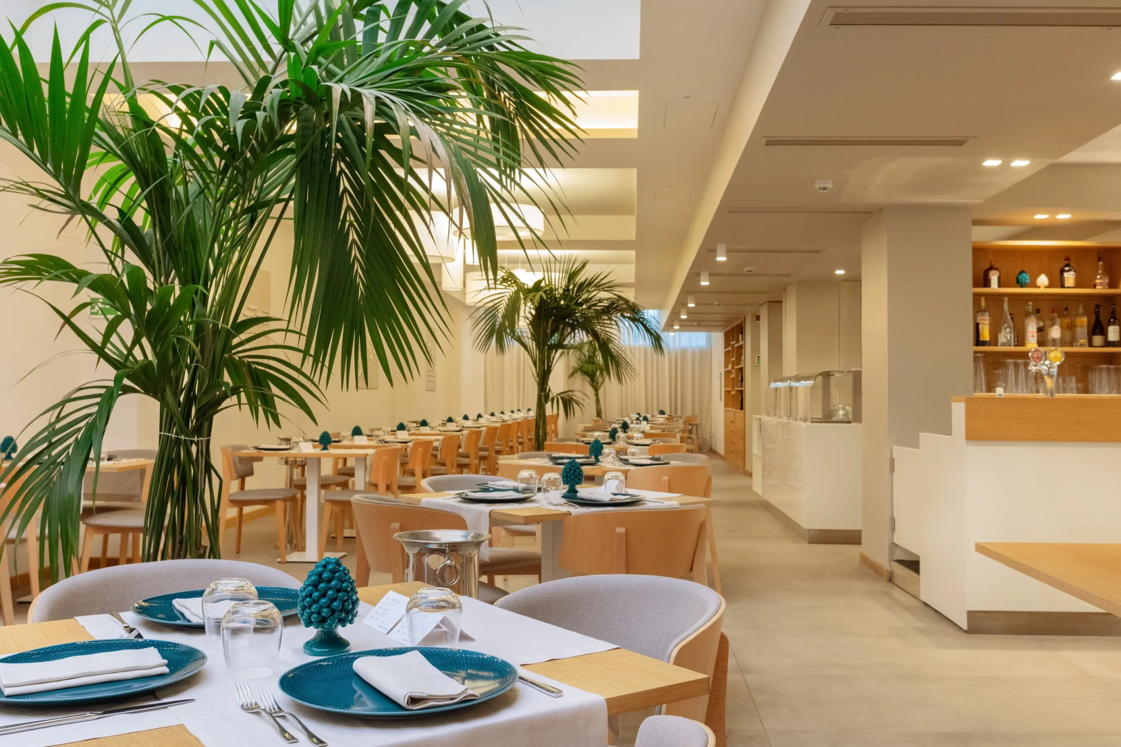 Albatros Beach Hotel