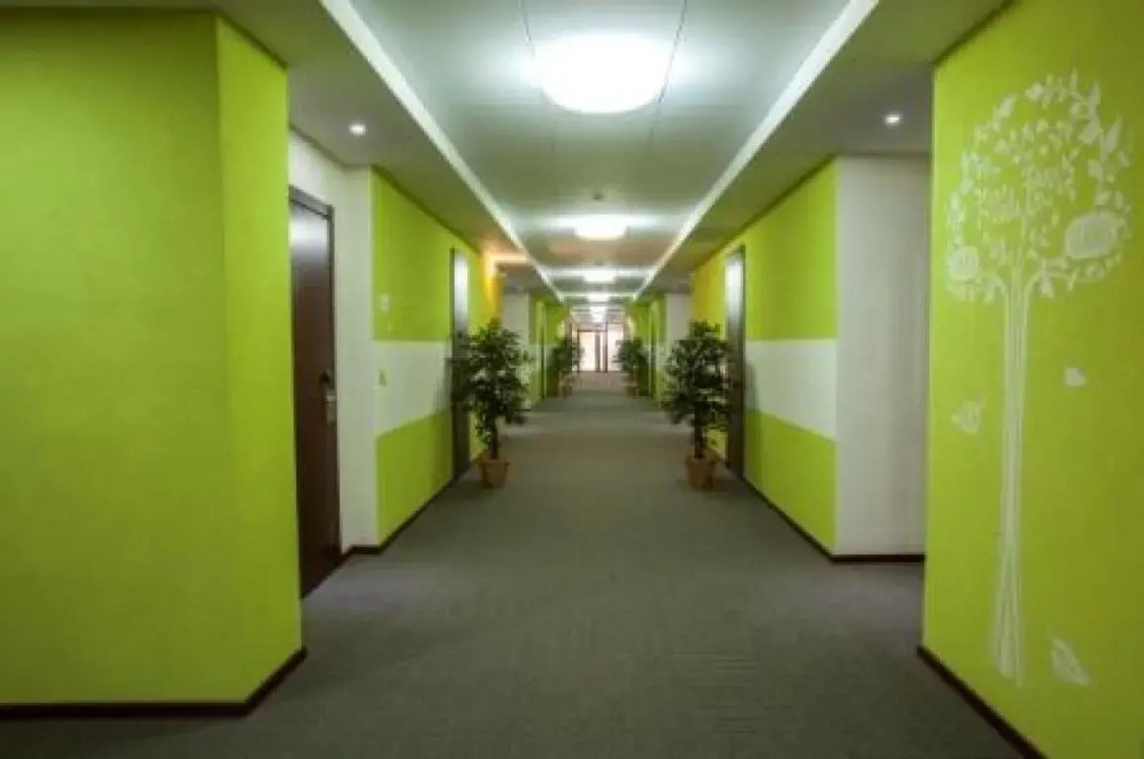 Отель Green Hall