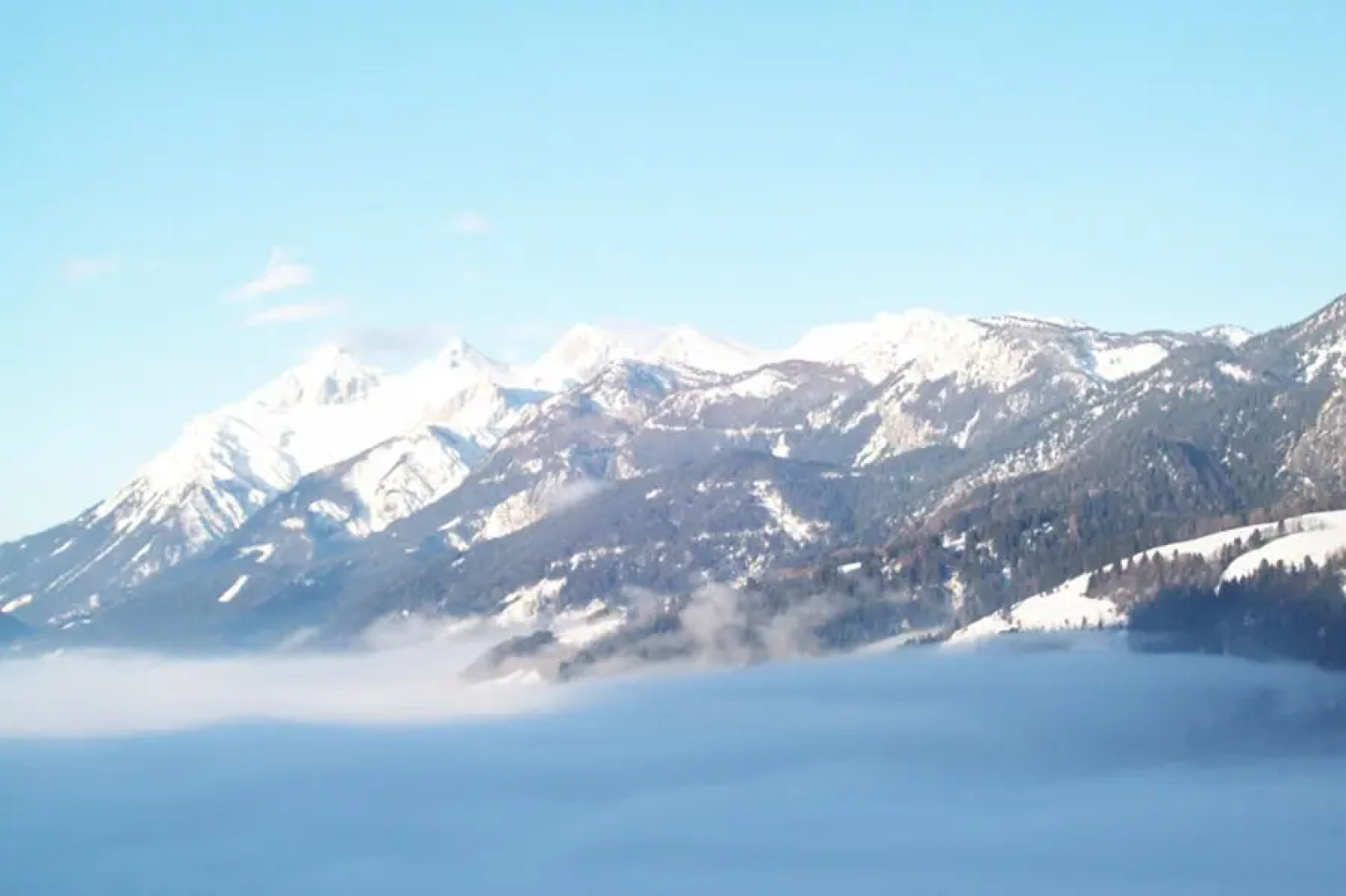 Bauernhof Ringlerhof