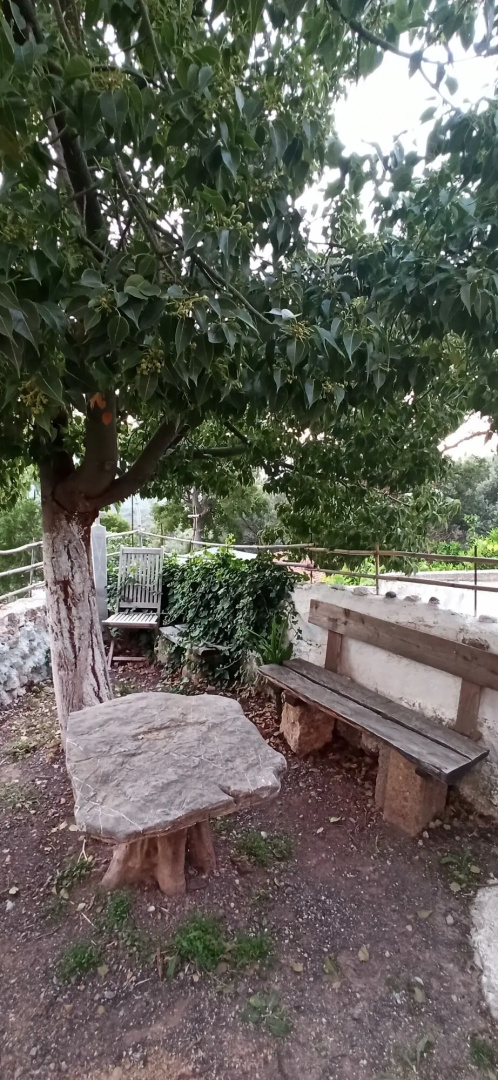 Windy Place
