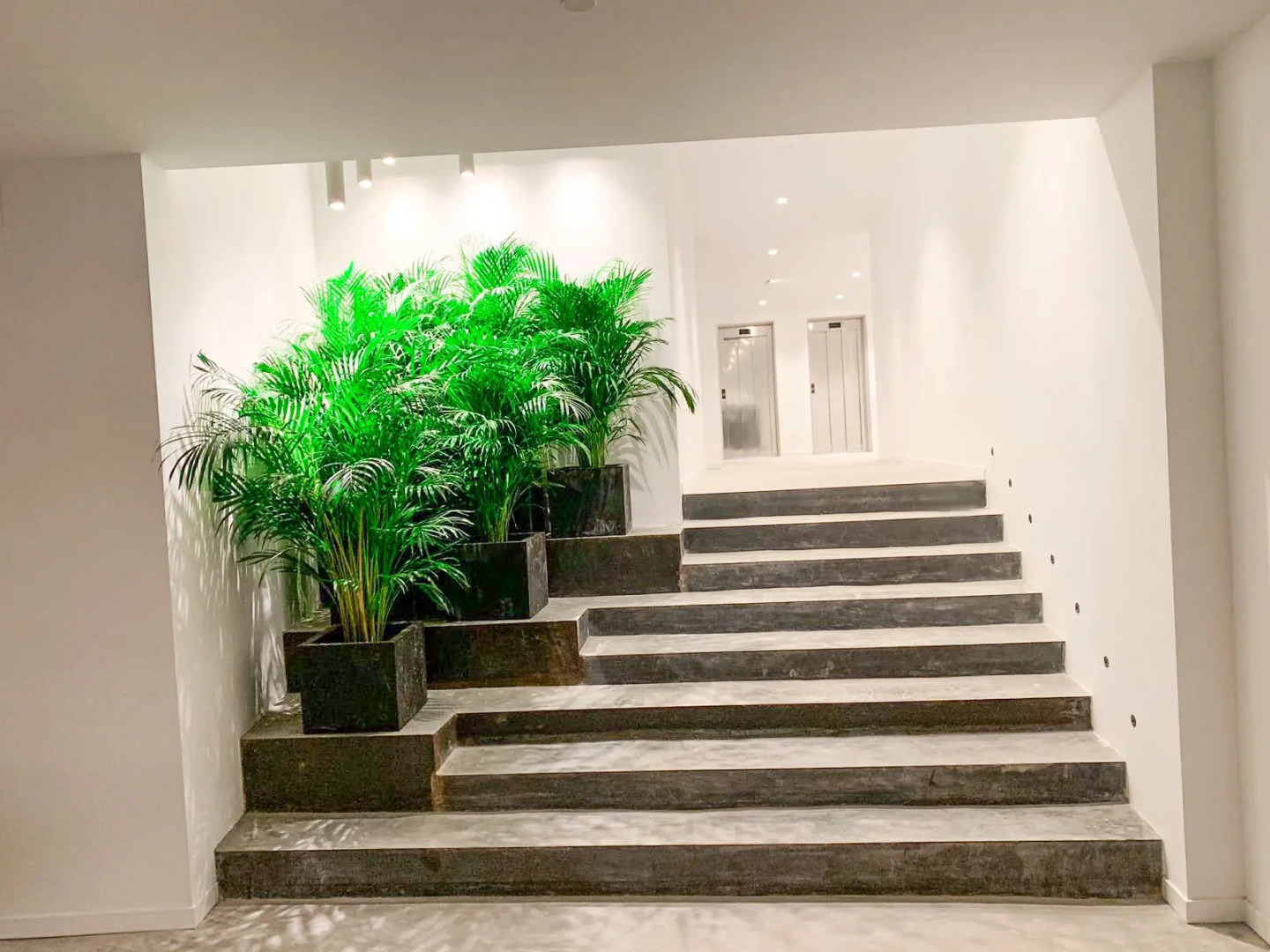 Paradiso Garden Hotel