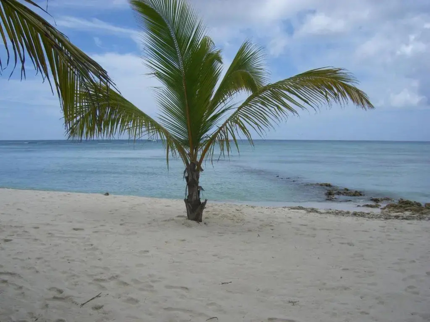 Hotel Bayahibe