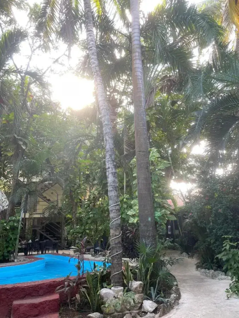 Hotel Playa del Karma