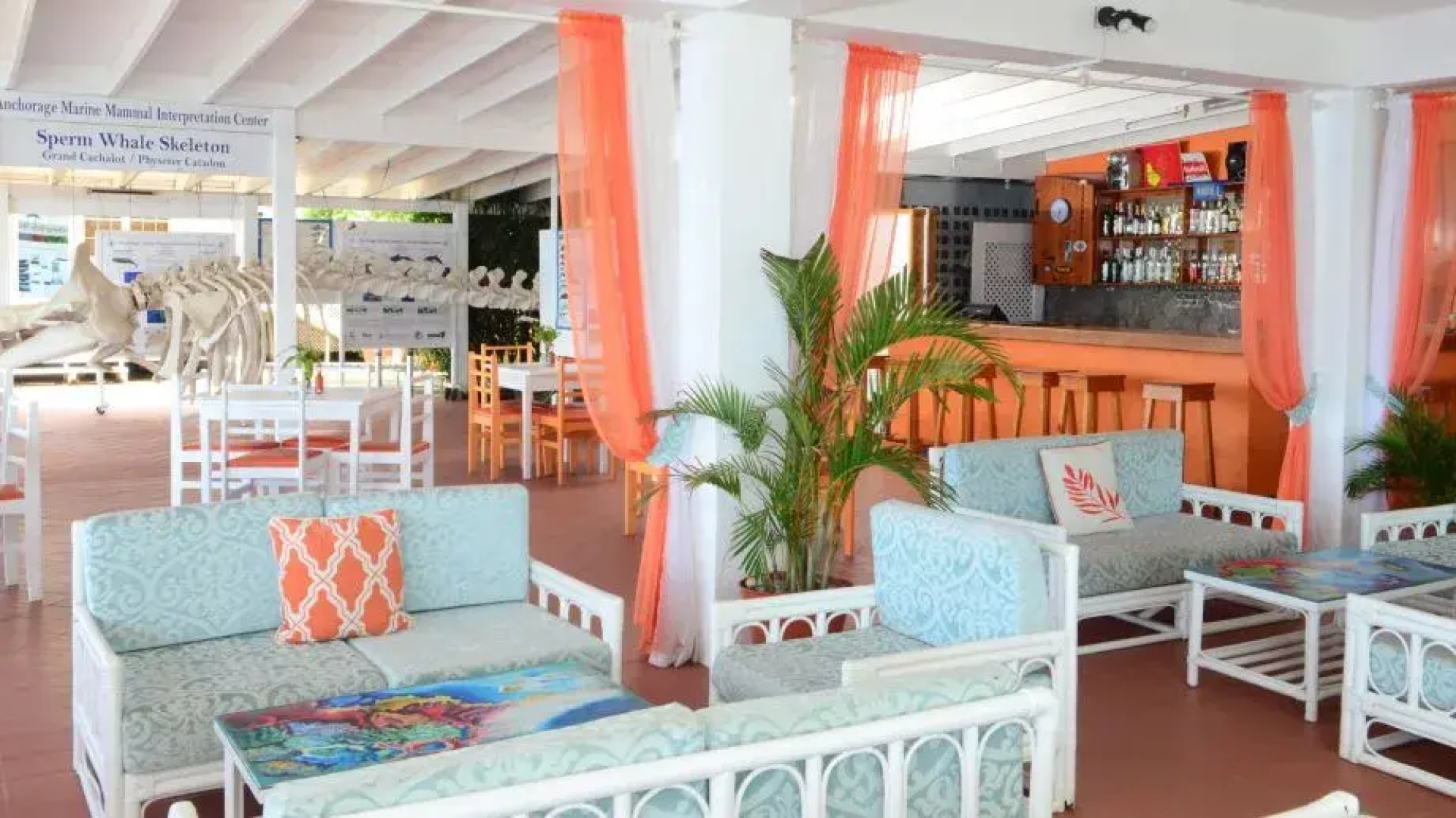 Anchorage Hotel, Whale Watch & Dive Center