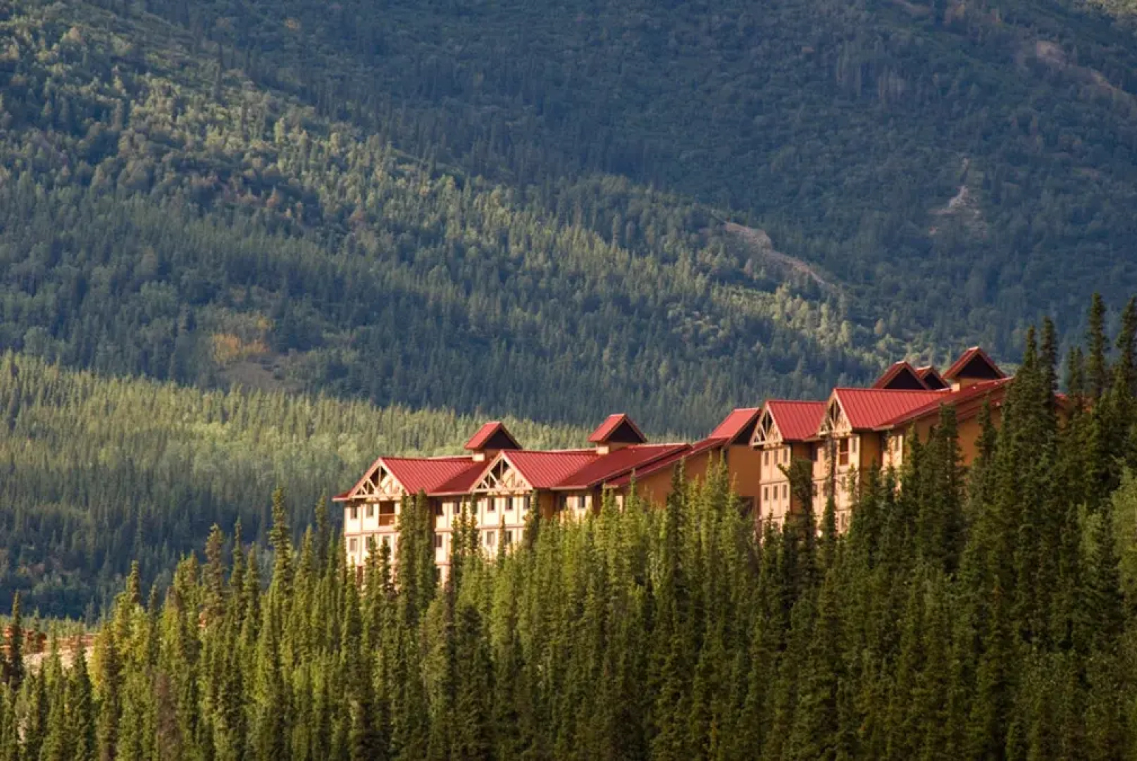 Denali Princess Wilderness Lodge