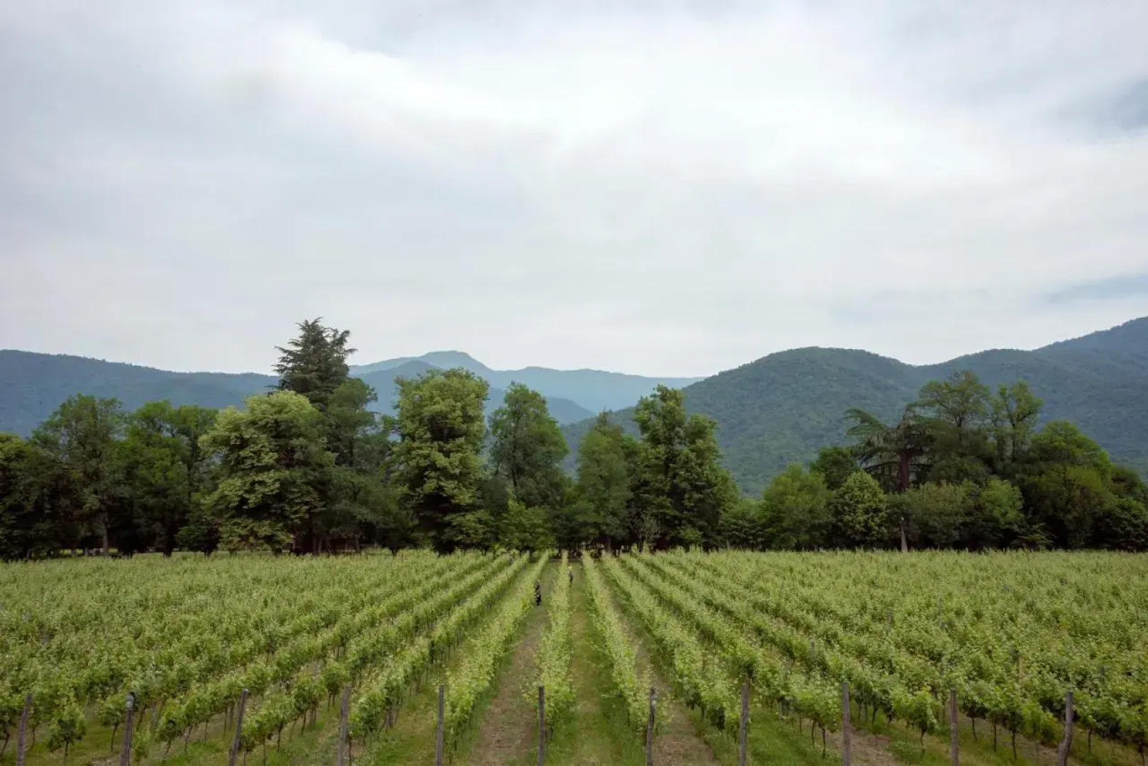 Отель Lopota Lake Resort and Spa