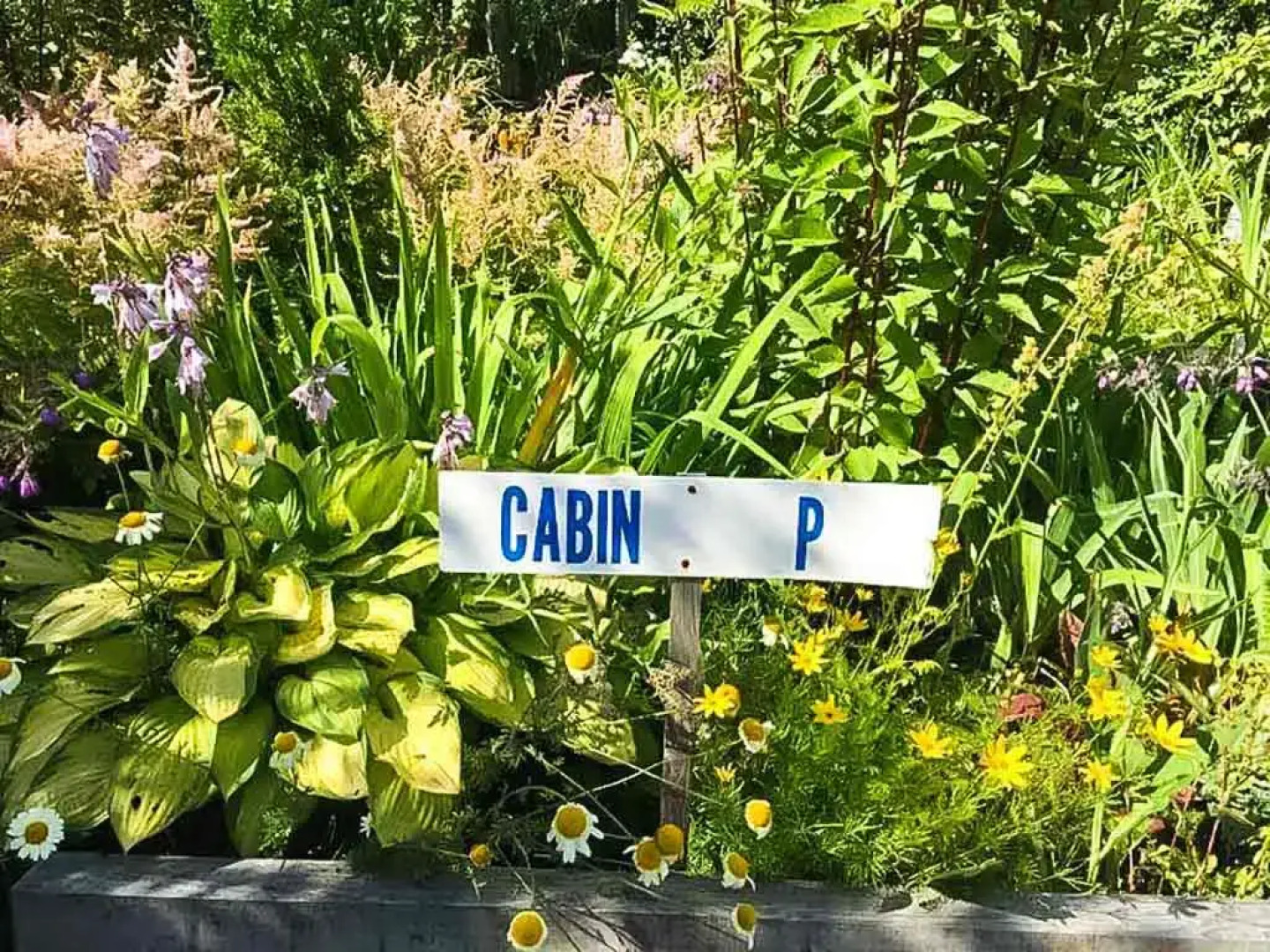 Waterside Cottage  Cabin