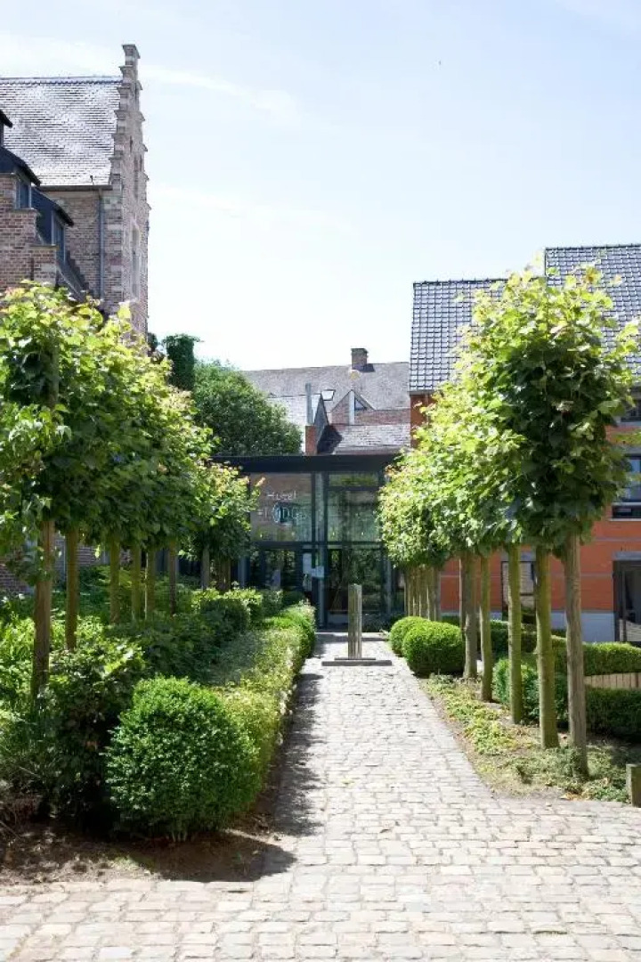 Отель Oranje City