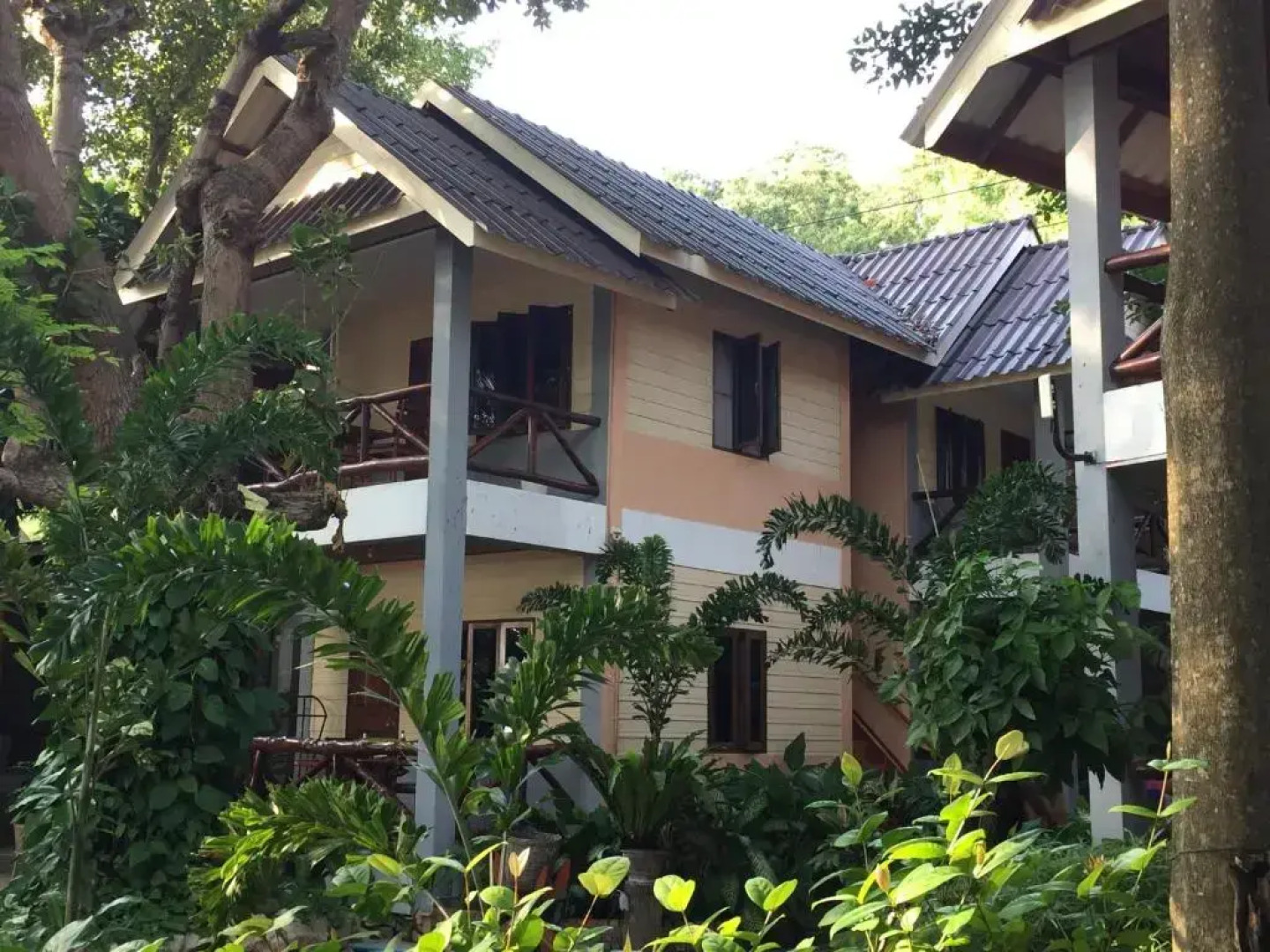 Big Fish Resort Koh Tao