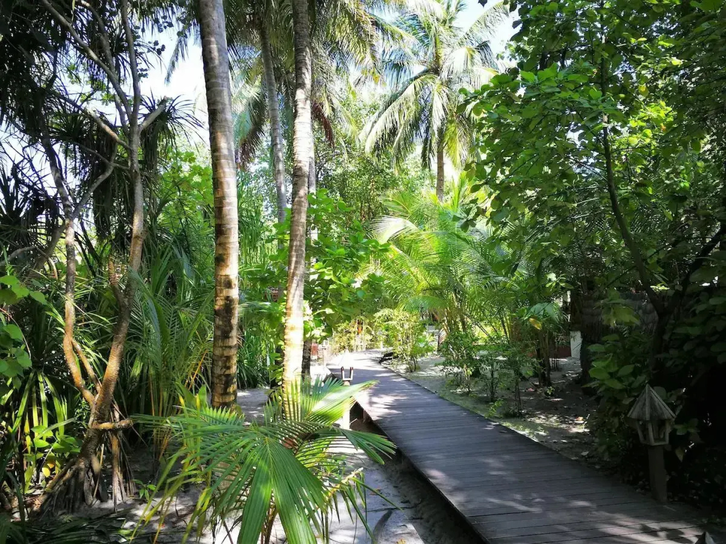 Курорт Gangehi Island 