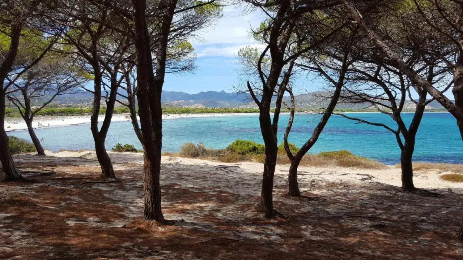 Valtur Sardegna Baia Dei Pini Resort