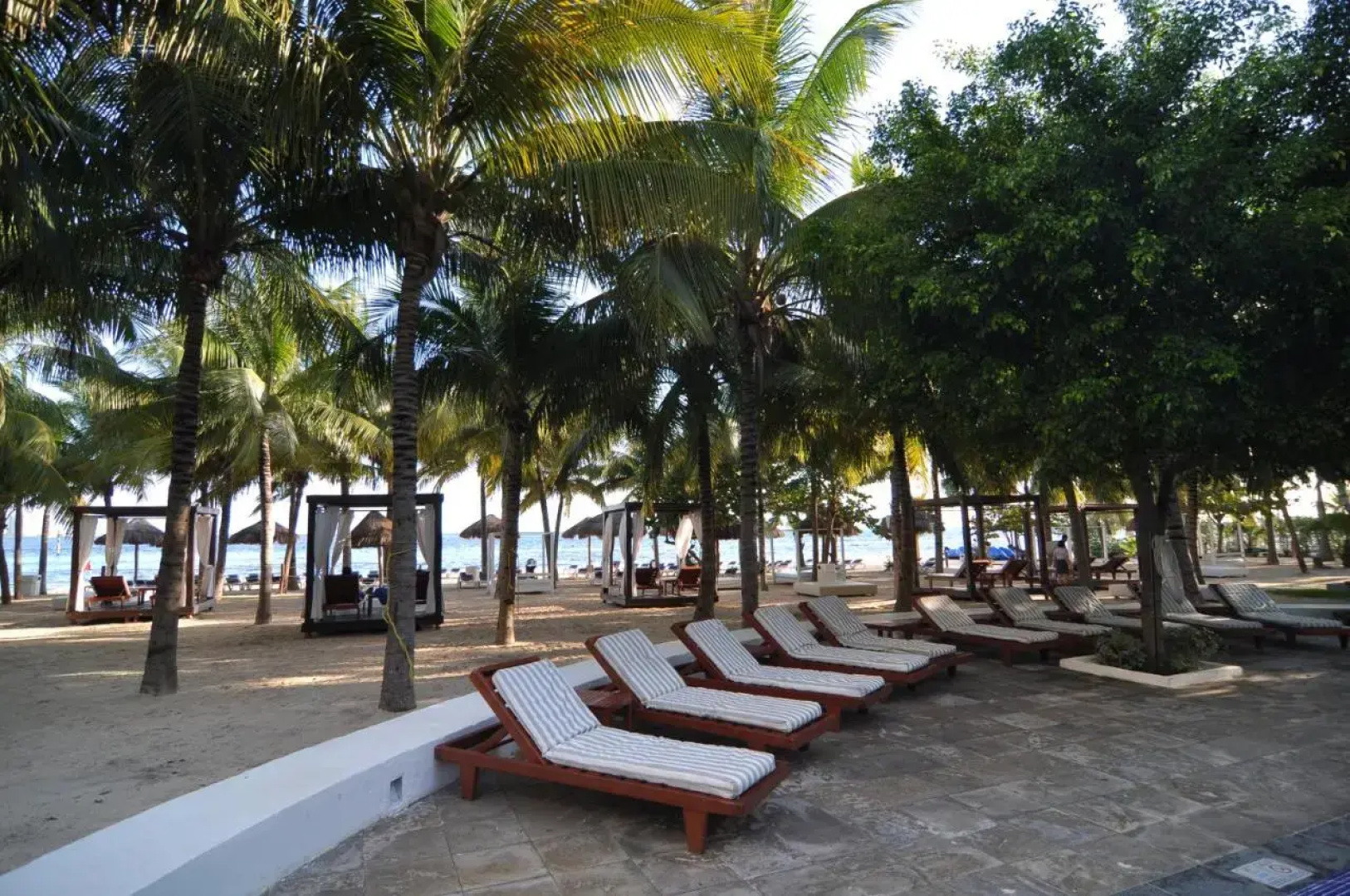 Oasis Palm Hotel