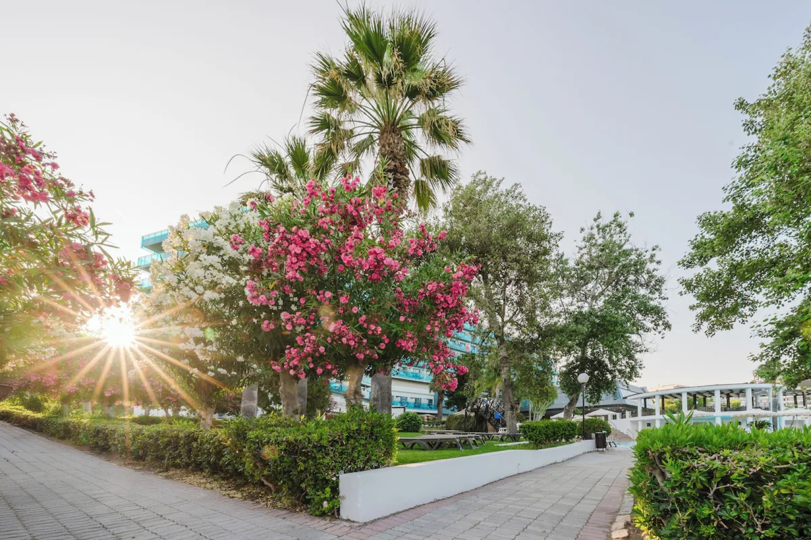 Calypso Beach Hotel