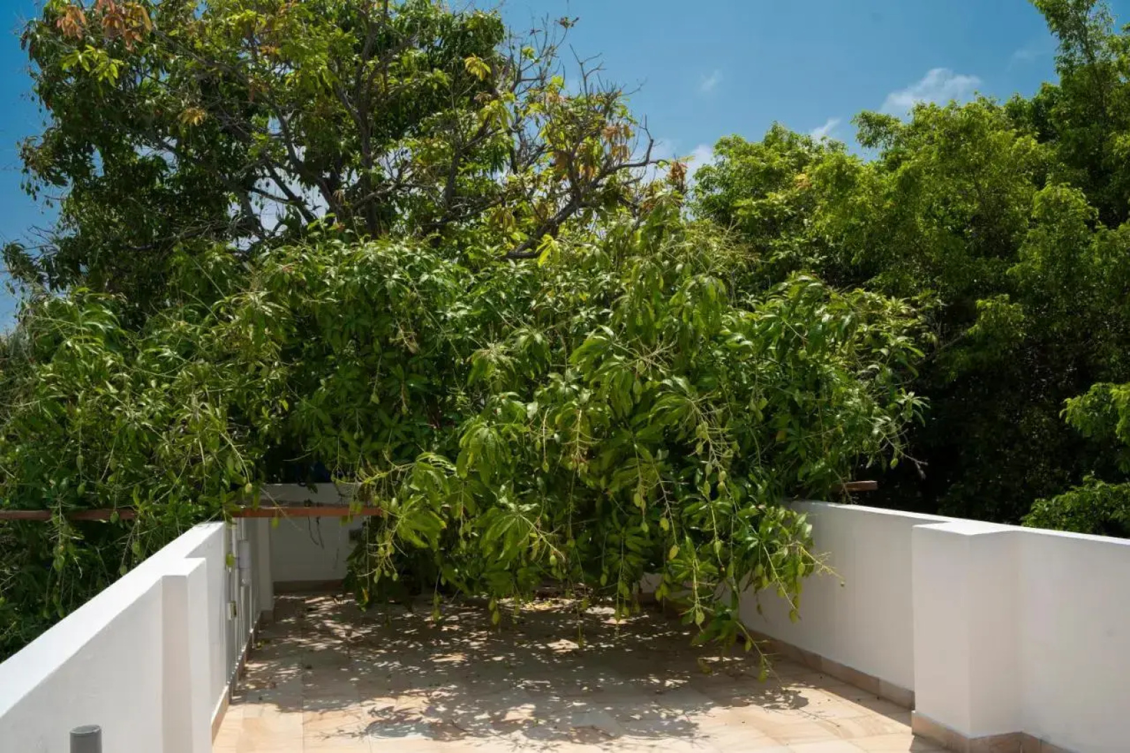 Tropical Biosphere Hotel
