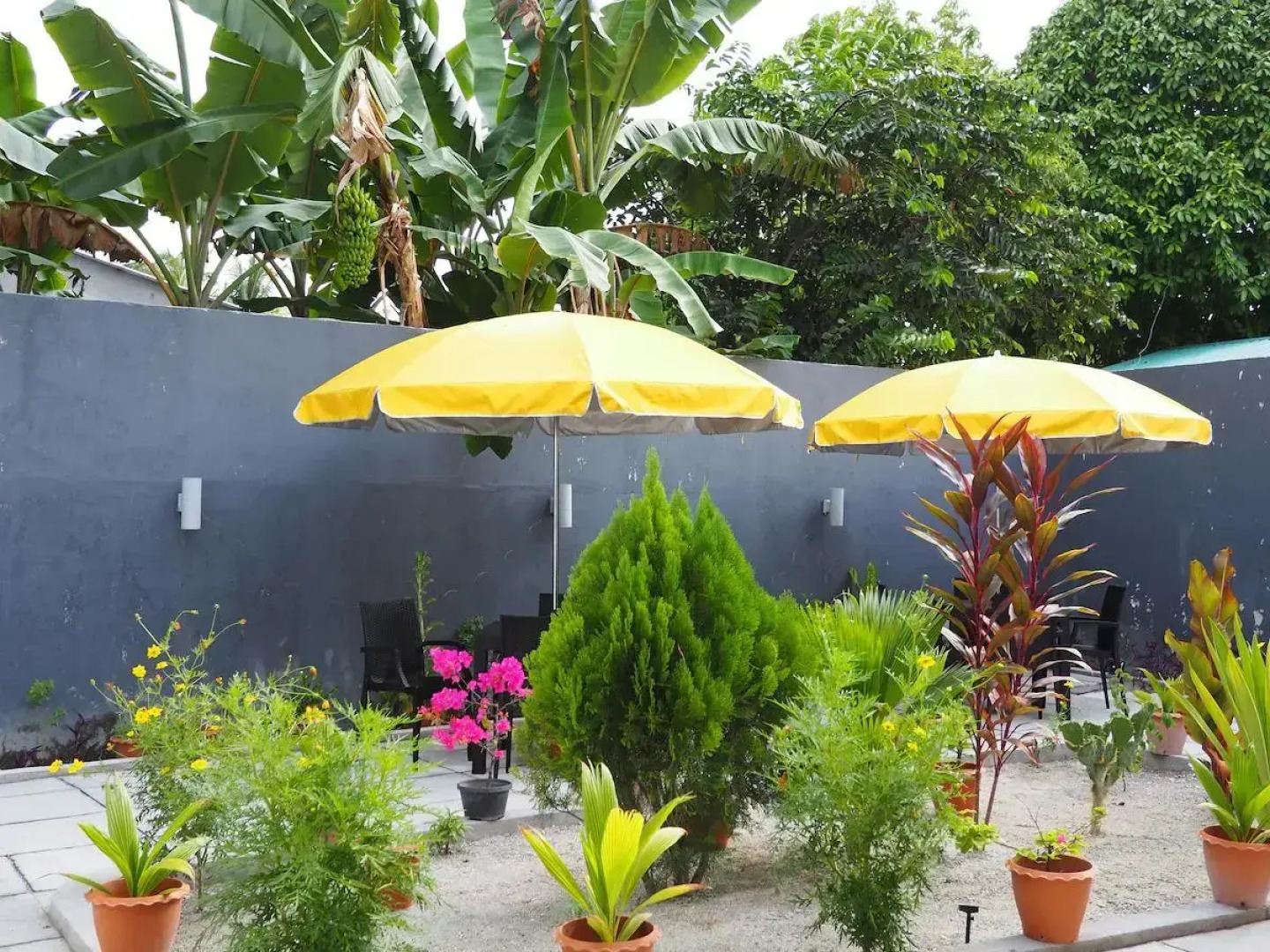 Equator Homestay