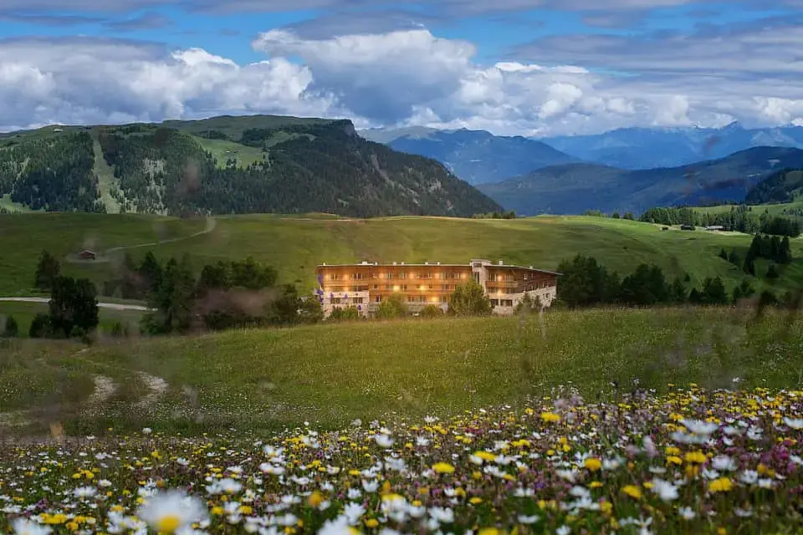 Paradiso Pure.Living