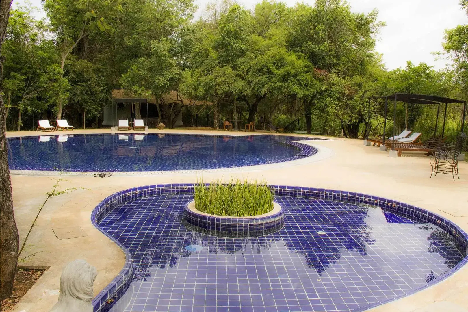 The Elephant Corridor Hotel