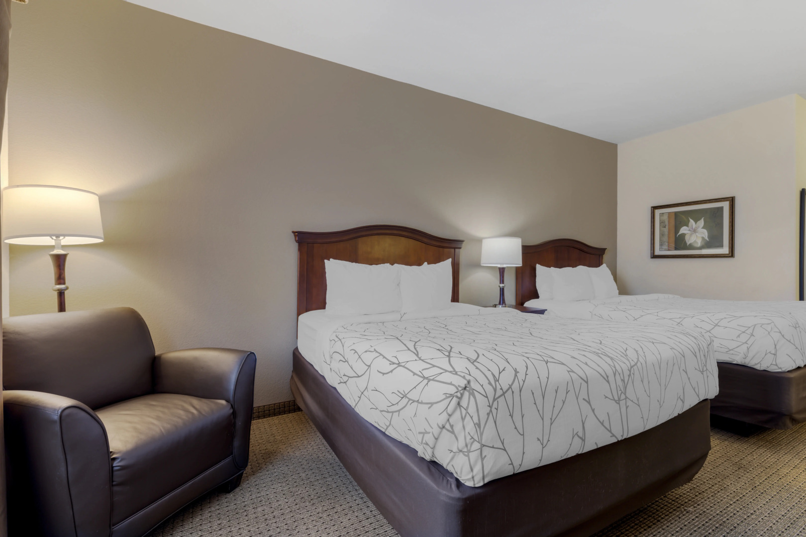 Best Western Plus Sweetwater Inn & Suites