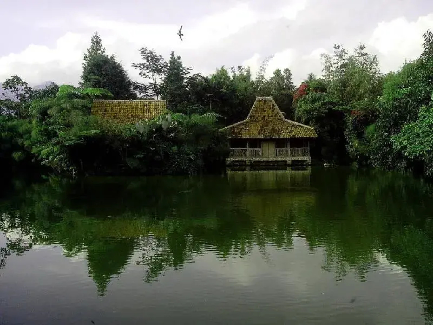 Sapulidi Cafe, Resort & Gallery