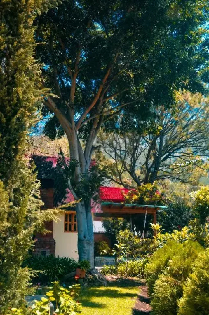 Отель Rancho Constanza