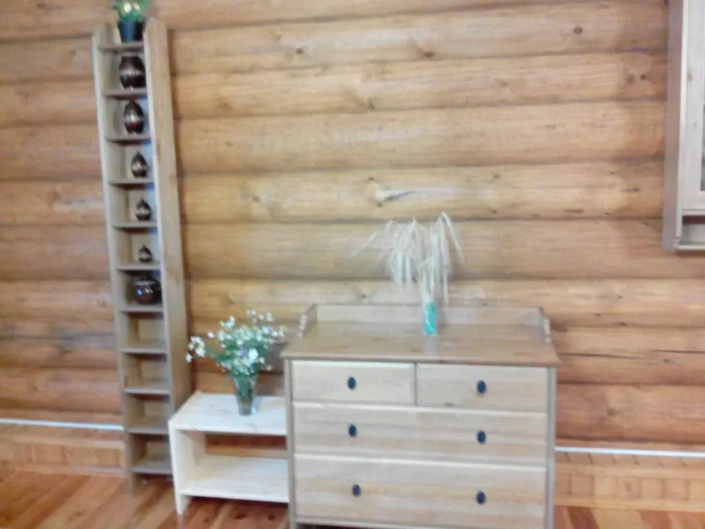 Guest House near Diveyevo and Sarov