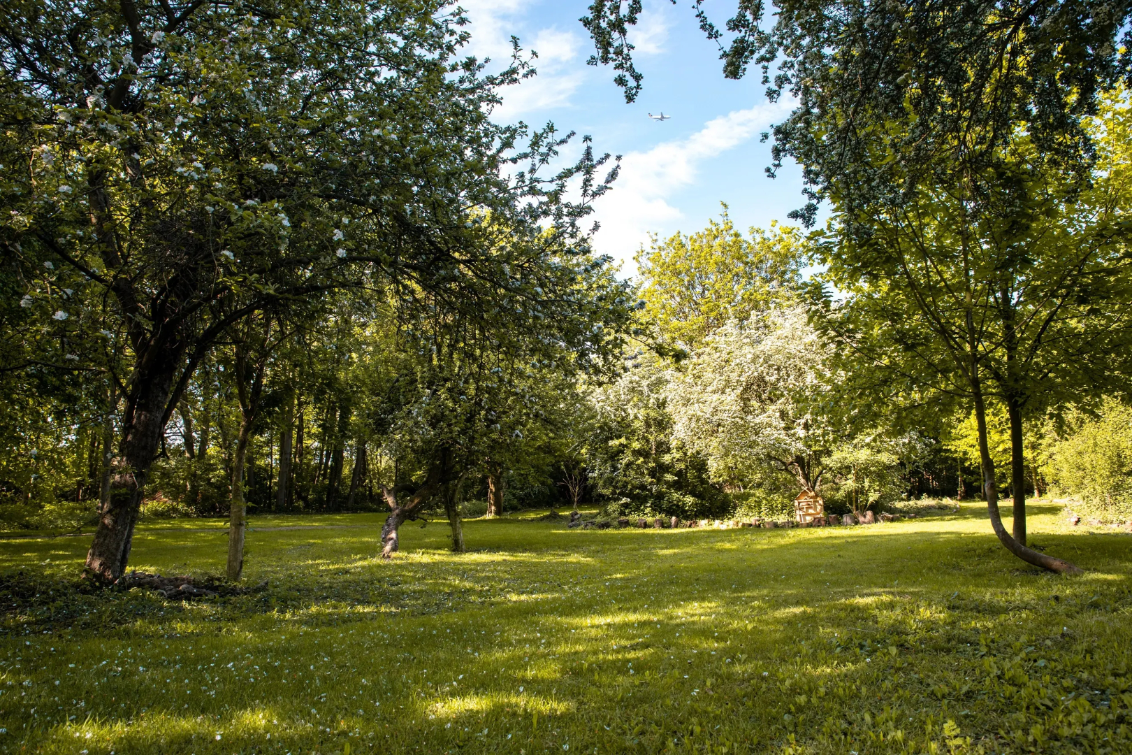 Hilton London Heathrow Airport Terminal 5