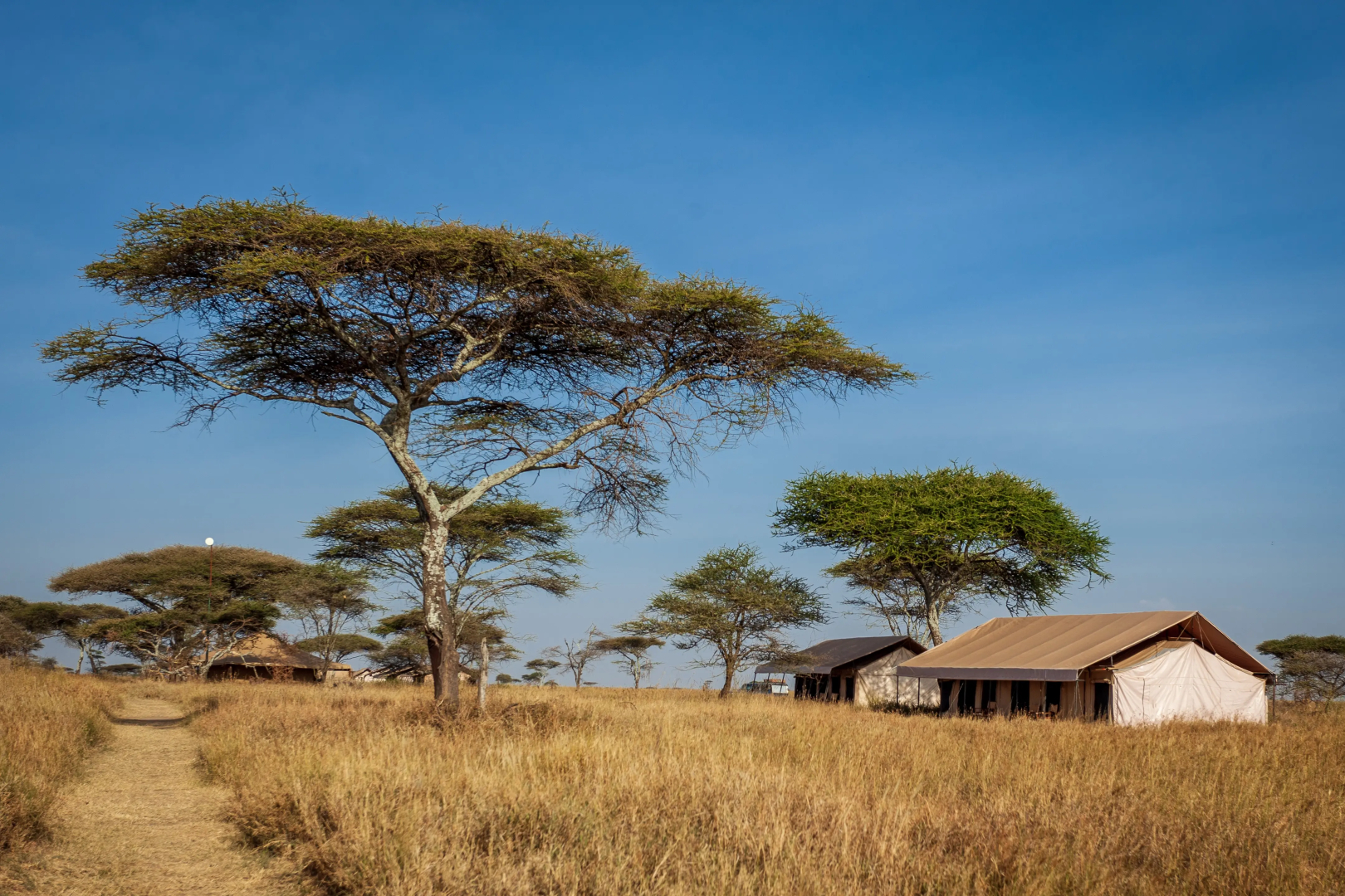Mawe Luxury Tented Camp