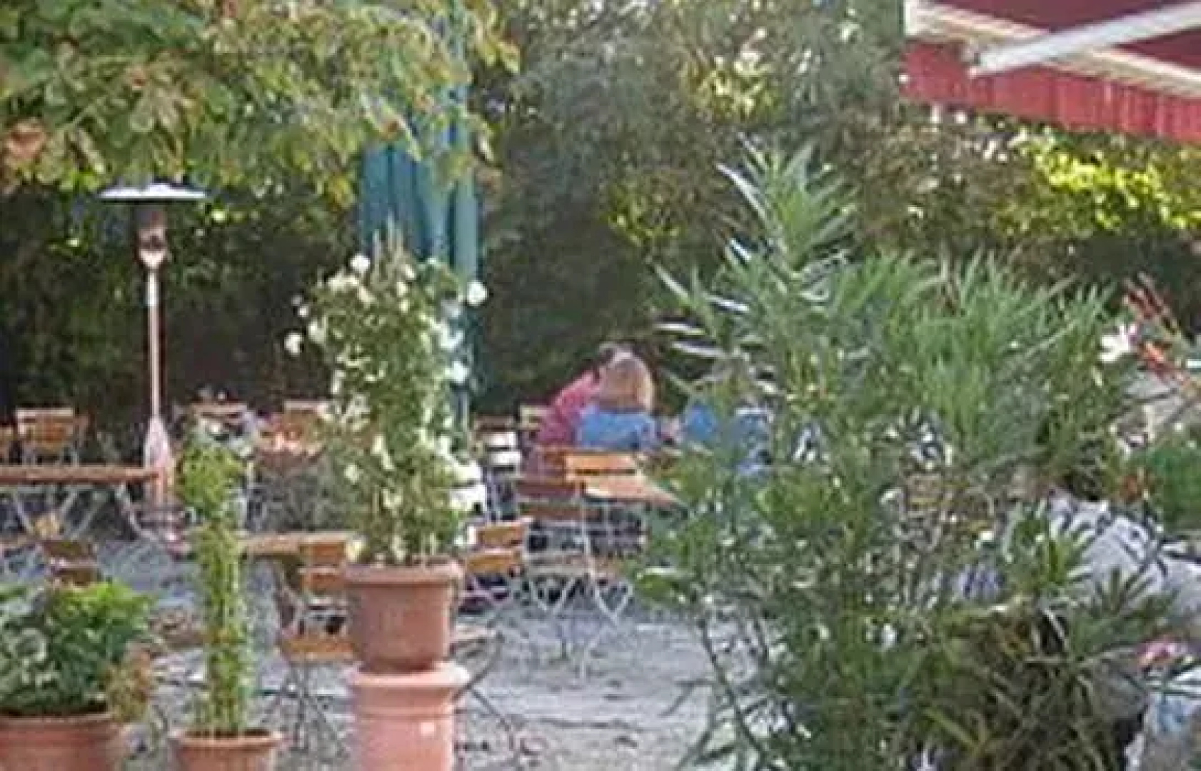 Weissenfelder