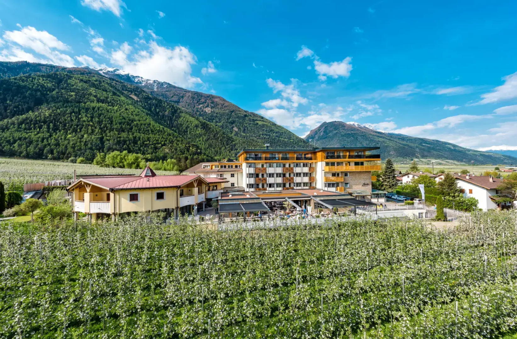 Hotel Paradies